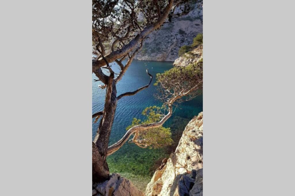 Sur La Corniche Apartment *