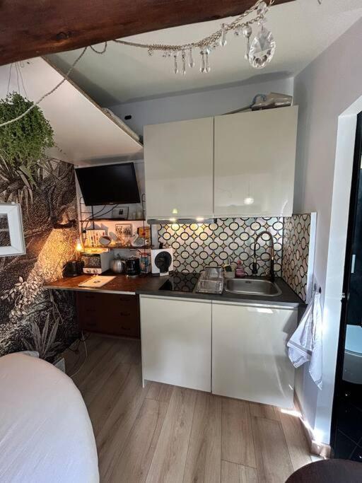 Jungle Apartment Marseilles