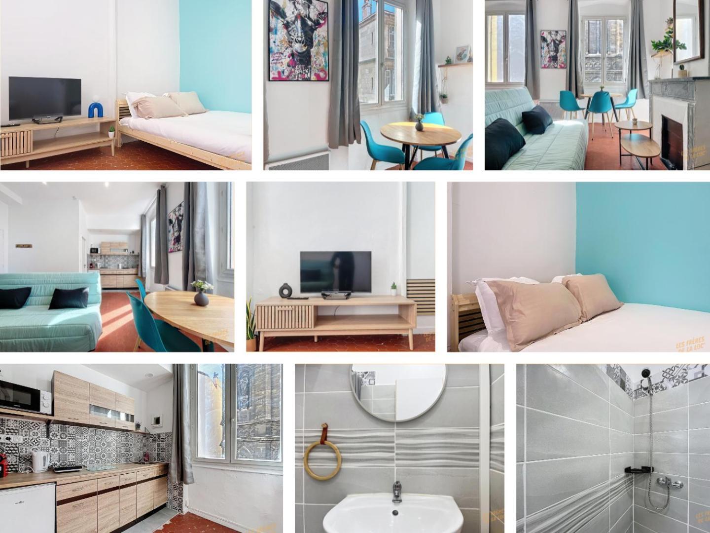 Appartement Lumineux - Cours Julien - Les Freres De La Loc' *