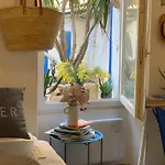 Jolie Studette Avec Patio Style Cabanon