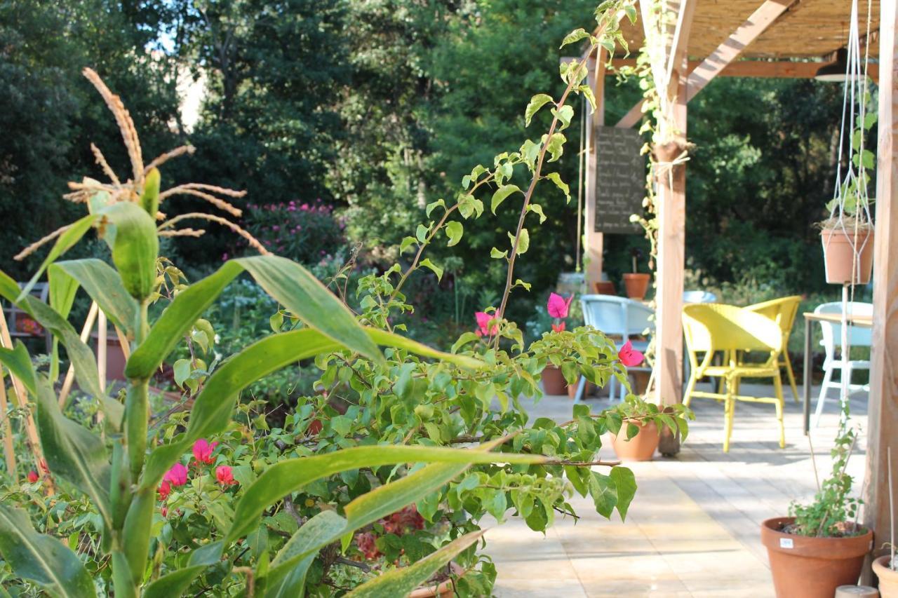 Bed & Breakfast Ginkgo Marseille