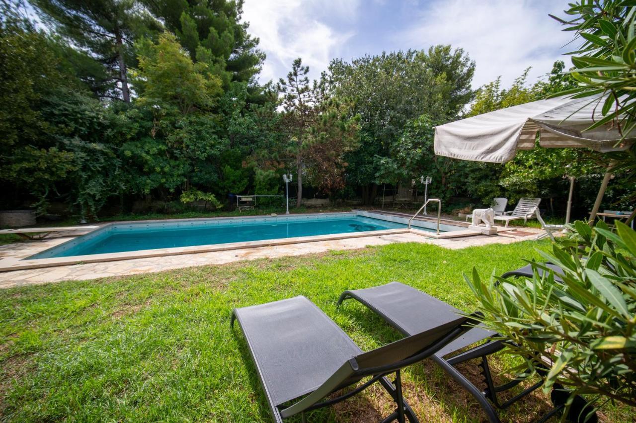 Tout Equipes Climatises Piscine Et Jardin *