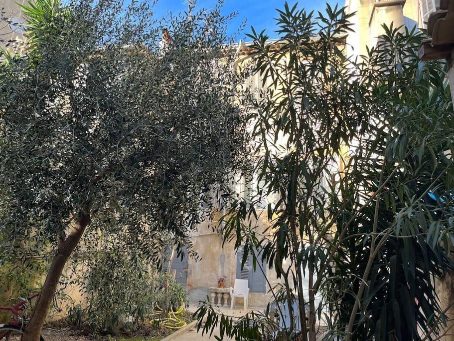 Atypique Camas Appartement Marseille