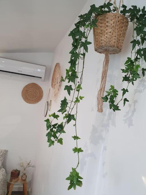 Studio-valentine Climatisee Avec Piscine Chauffee Marseilles
