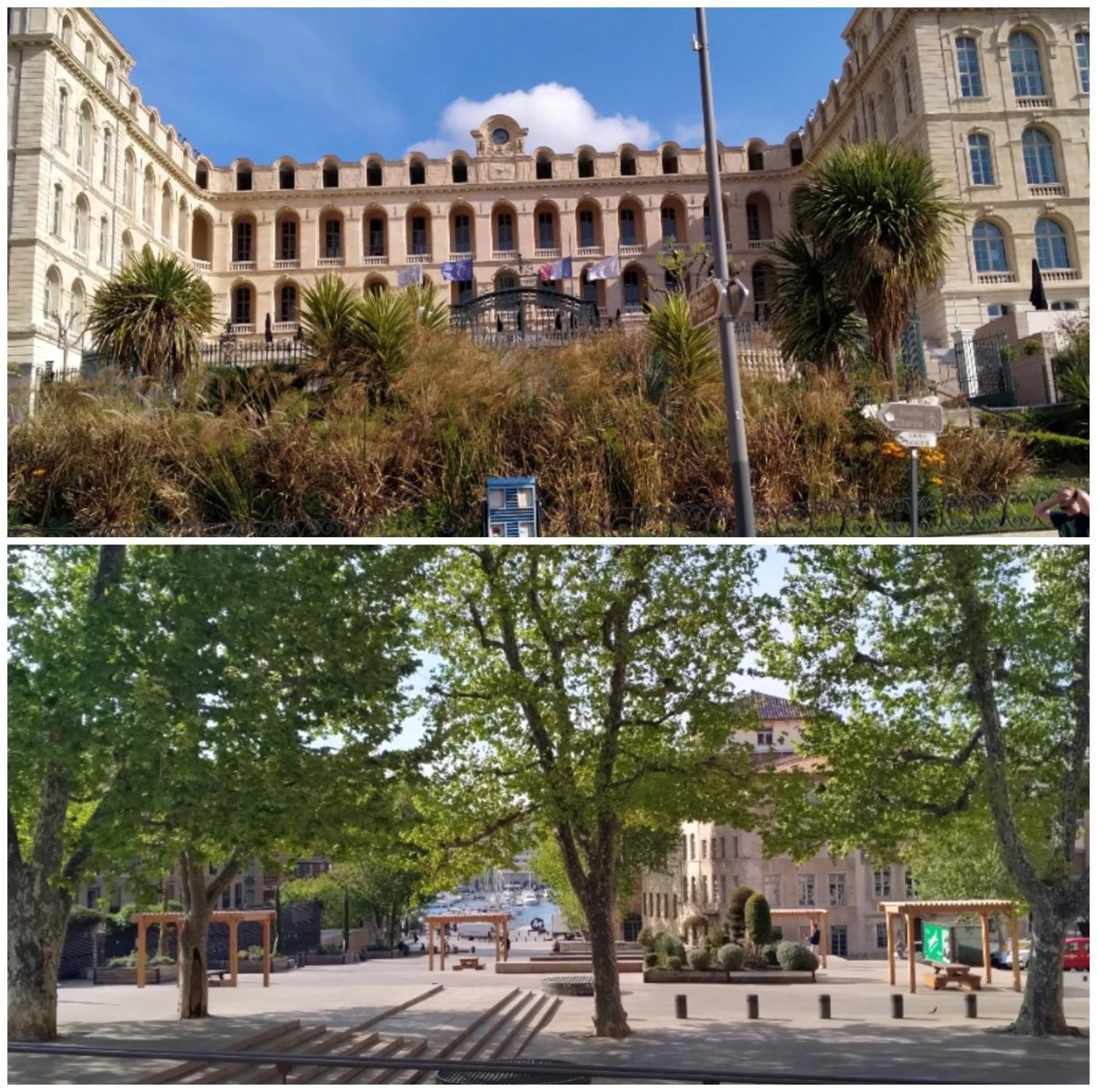 Appartement Petit Bonheur Au Coeur Du Vieux Port Marseille