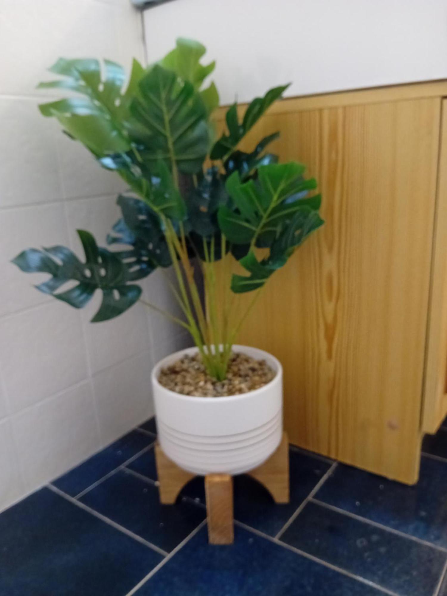 Appartement Bas De Avec Jardin Et Piscine Proche Plages Calanques