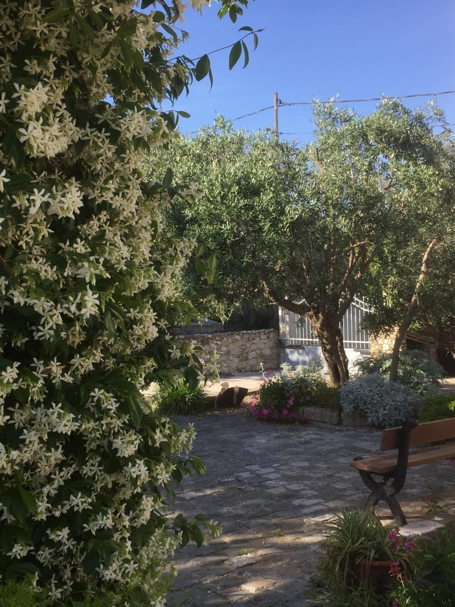 Le Clos Du Jas Frühstückspension Marseilles