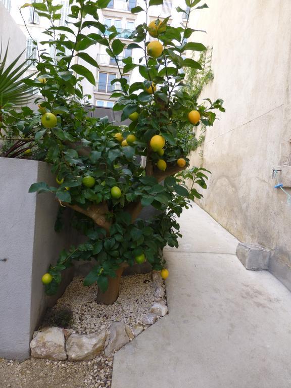 Ferienhaus L'orangeraie Et La Palmeraie D'endoume Marseilles