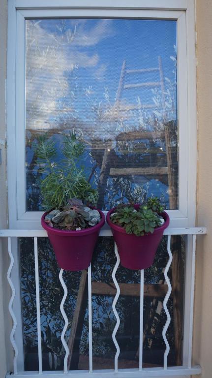 Les De Jeannette Bed & Breakfast Marseille