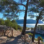 Cigalou Sous Les Pins