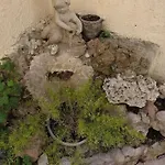 Petit Coin De Paradis Au Coeur De Marseille