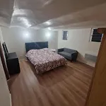 Magnifique Appartement T2