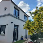 A L\'Ombre Du Platane