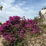 A L\'Ombre Du Platane
