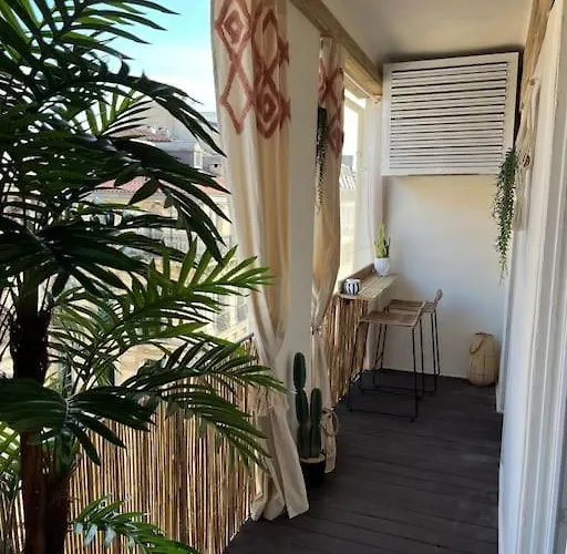 La French Casa Gp Star