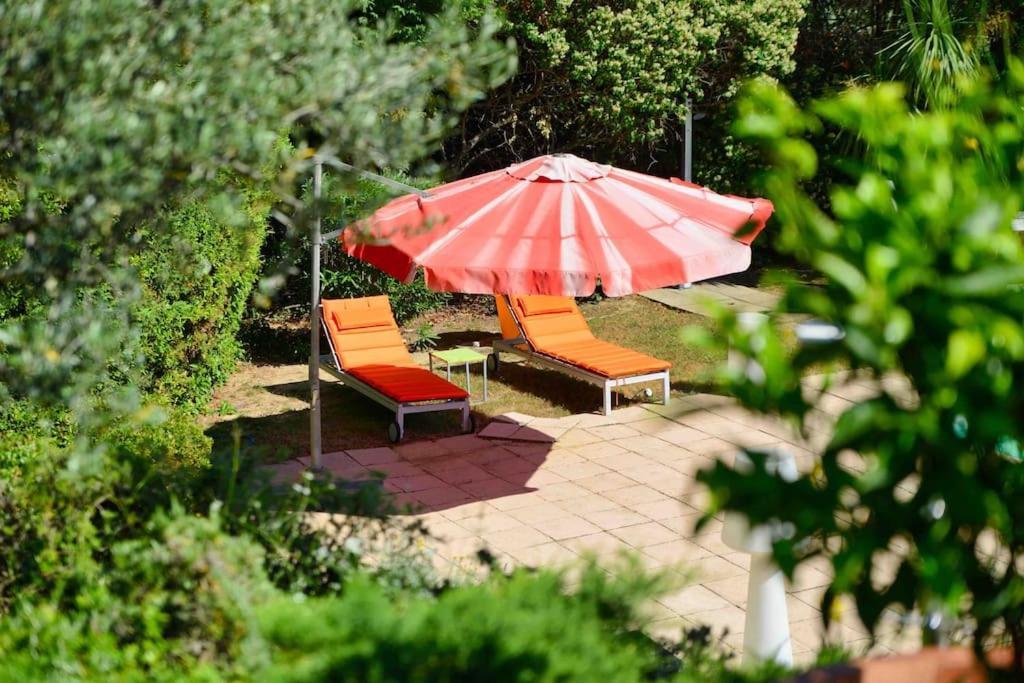 Magnifique Avec Piscine Villa *