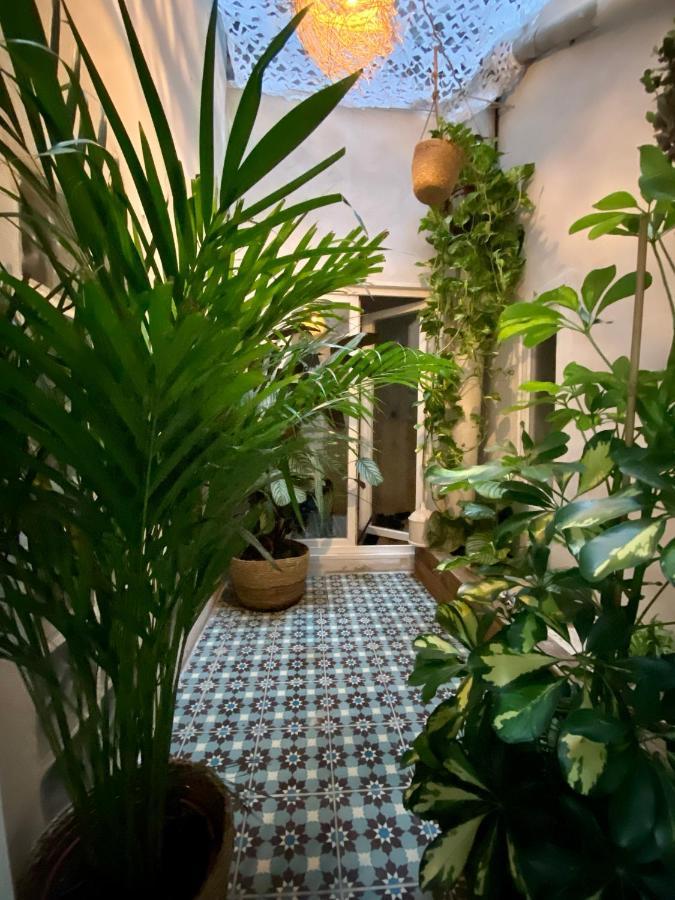 Apartment Haussmannien Rue Pietonne Opera Marseille