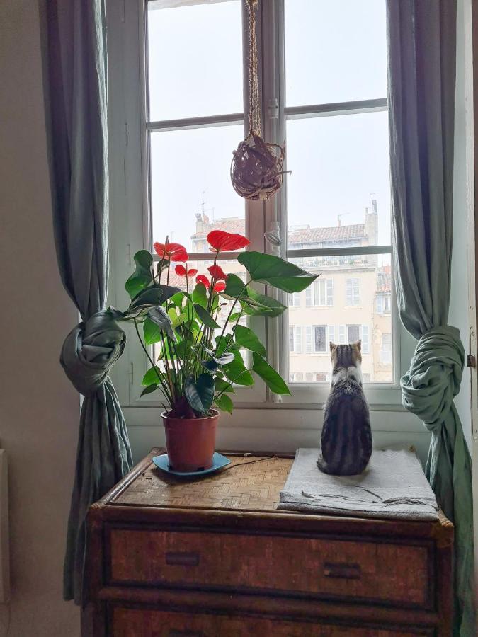 Séjour chez l'habitant Jolie Dans Cosy En Plein Centre Marseille