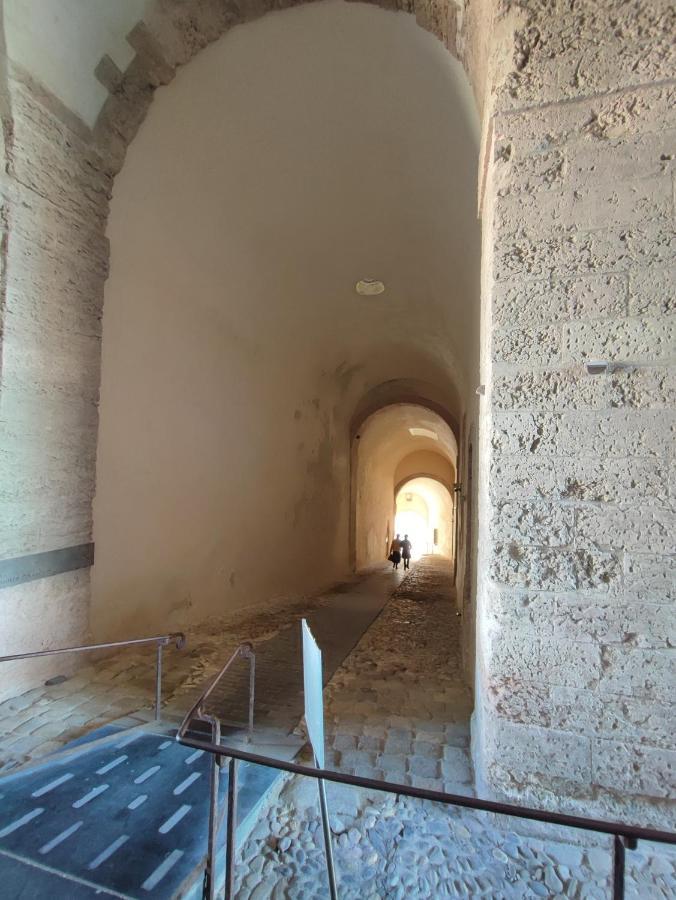 Apartment Petit Cocon A Mourepiane *