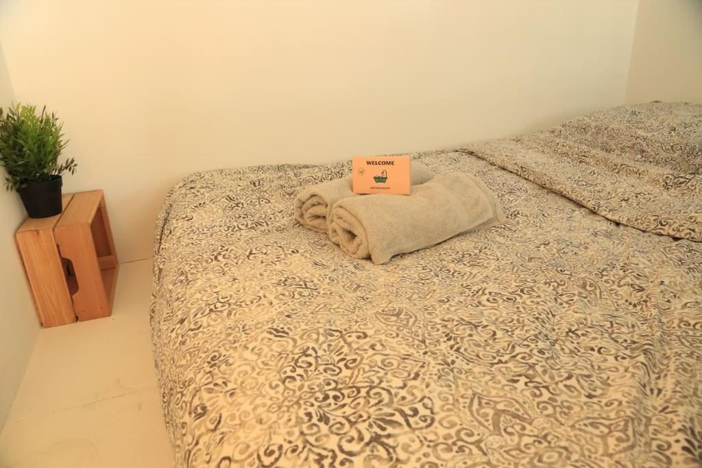Studio Cosy-au Coeur De La Plaine Appartement *
