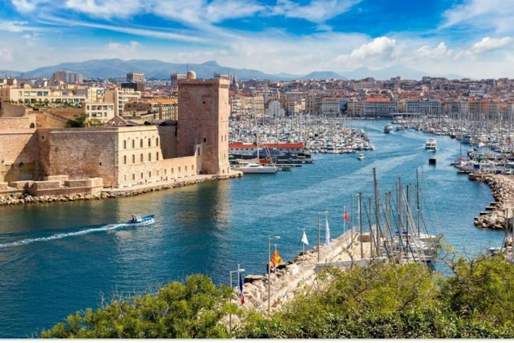 Citronnier Marseille