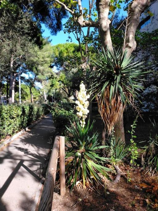 Apartment Cigalou Sous Les Pins Marseilles