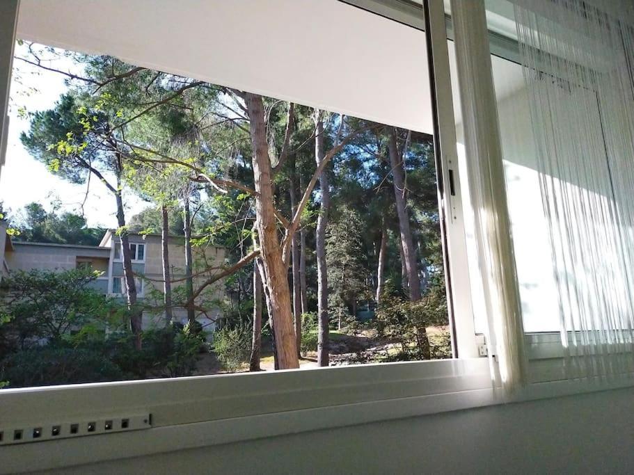 Cigalou Sous Les Pins Apartment Marseilles