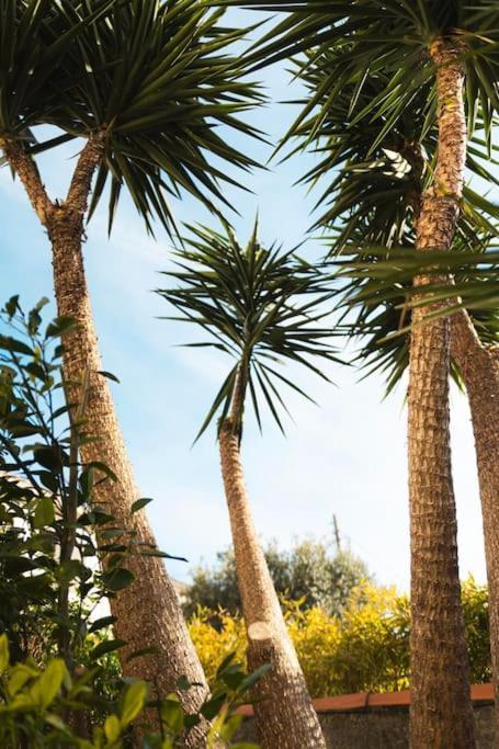 Maison De Roucas Blanc Holiday home *