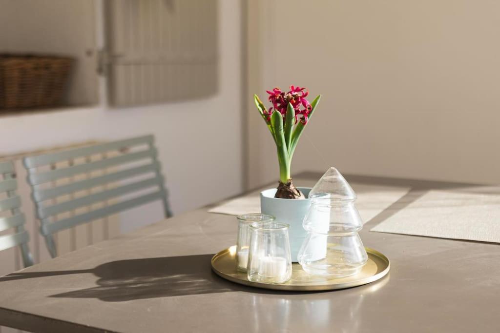 Maison De Roucas Blanc Hébergement de vacances