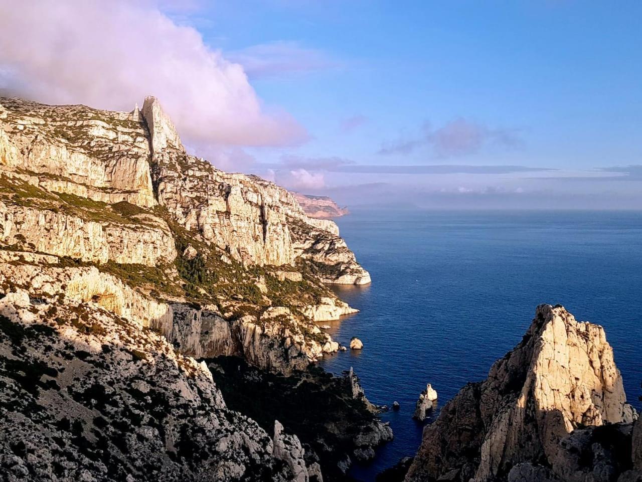 Vue Le Panoramique Vieux-port De Marseilles