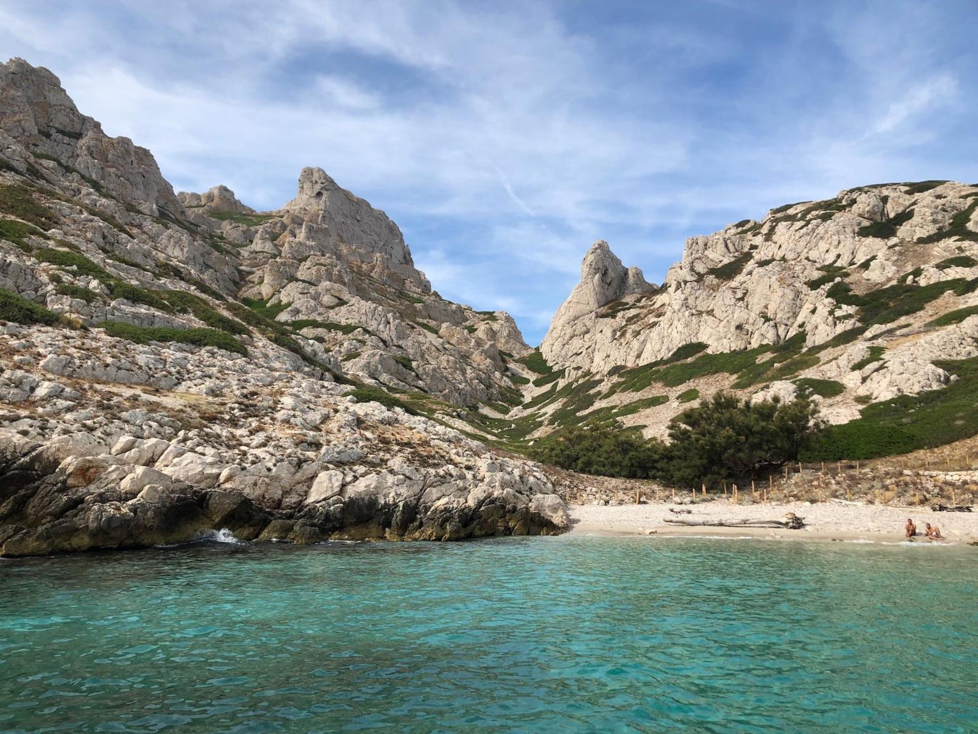 Grand Cedre Marseilles