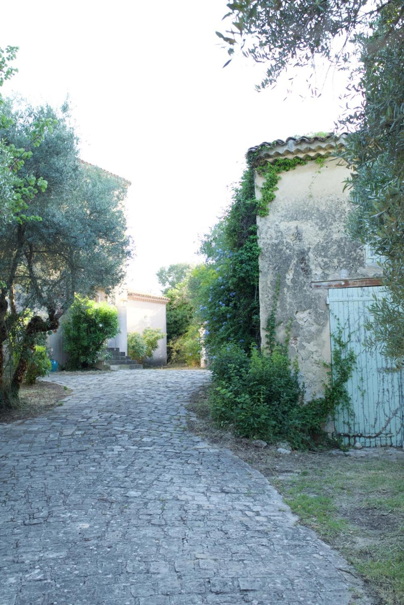 Grand Cedre * Marseille