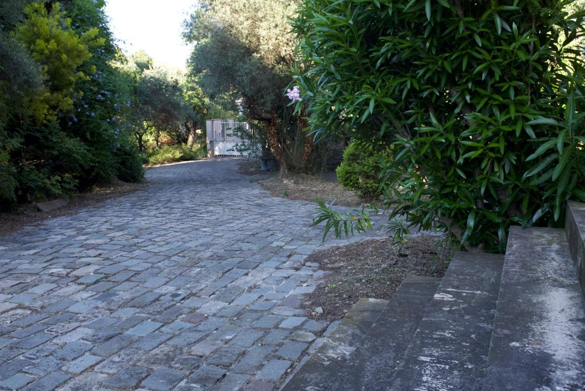 Grand Cedre Villa