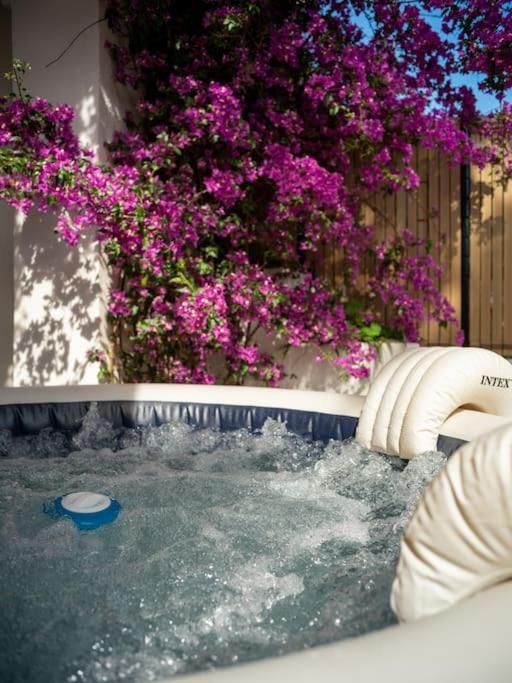 Appartement Le Bougainvillier-jacuzzi Jardin Clim Wifi Parking