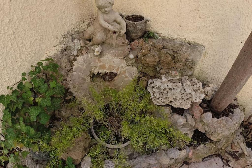 Petit Coin De Paradis Au Coeur De Marseilles