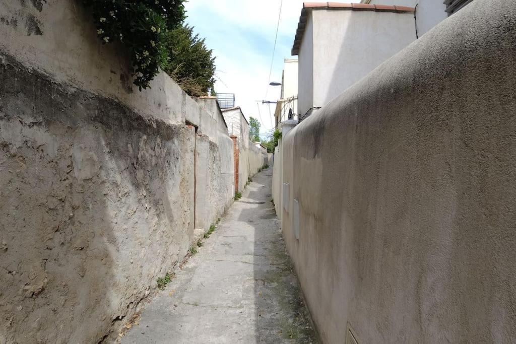 Petit Coin De Paradis Au Coeur De
