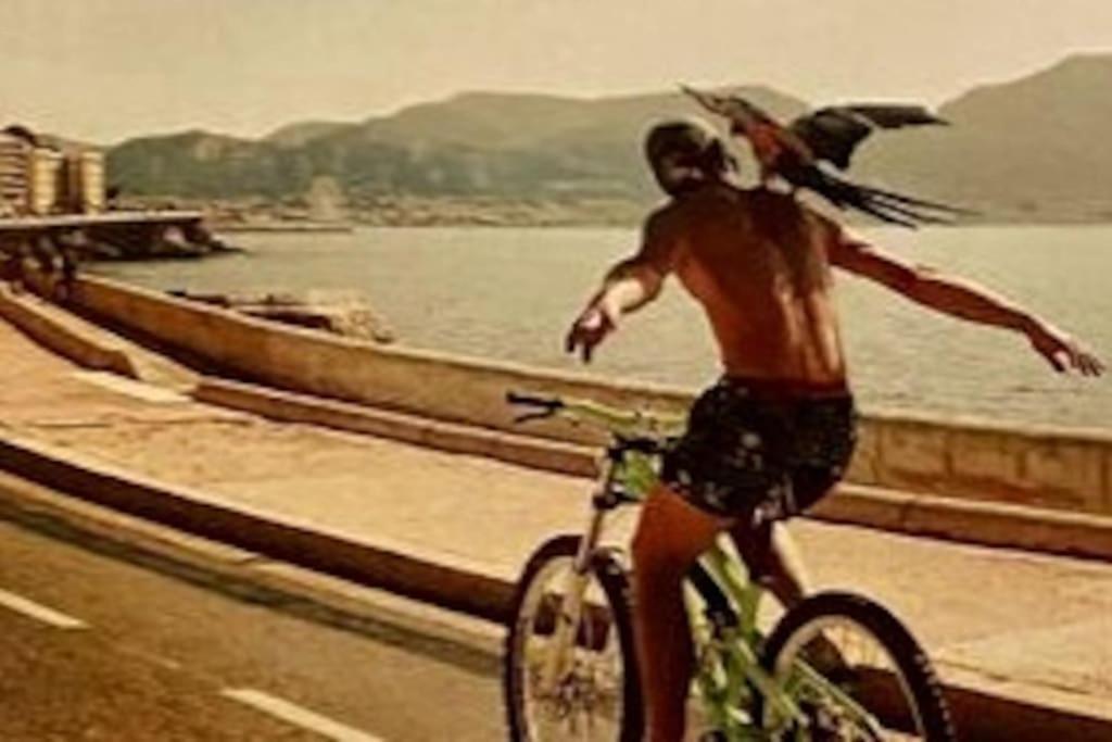 Click! Magical Views Notre-dame, Vieux Port & Rooftops - Walk To Appartement Marseille