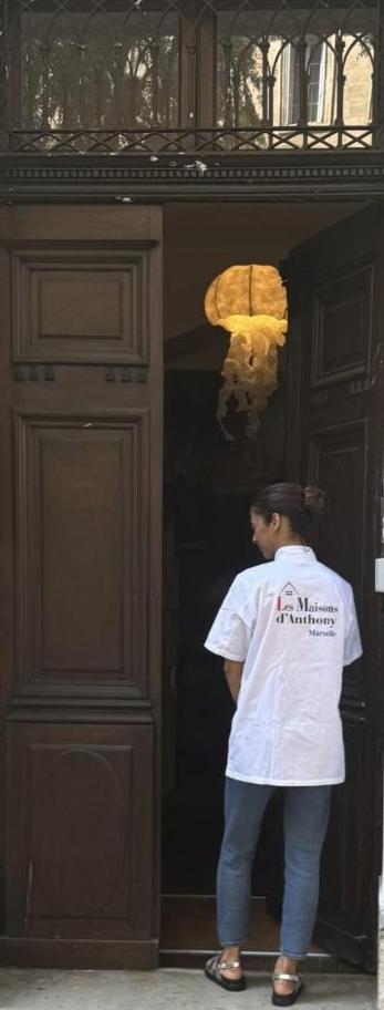 Les Maisons D Anthony Apartment Marseilles