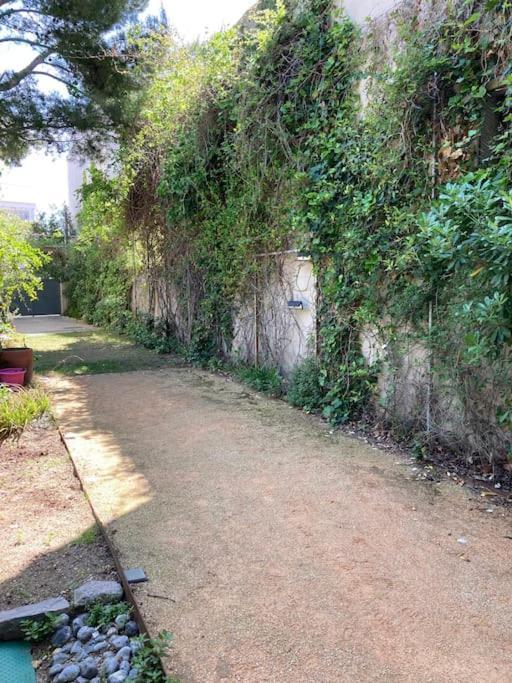 Grande Jardin Et Piscine A Endoume