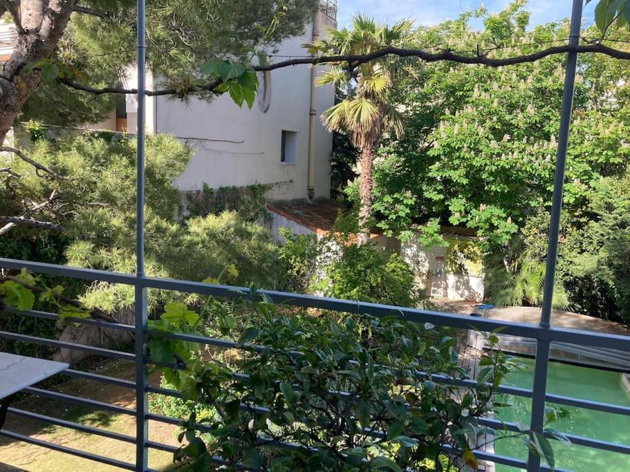 Grande Jardin Et Piscine A Endoume