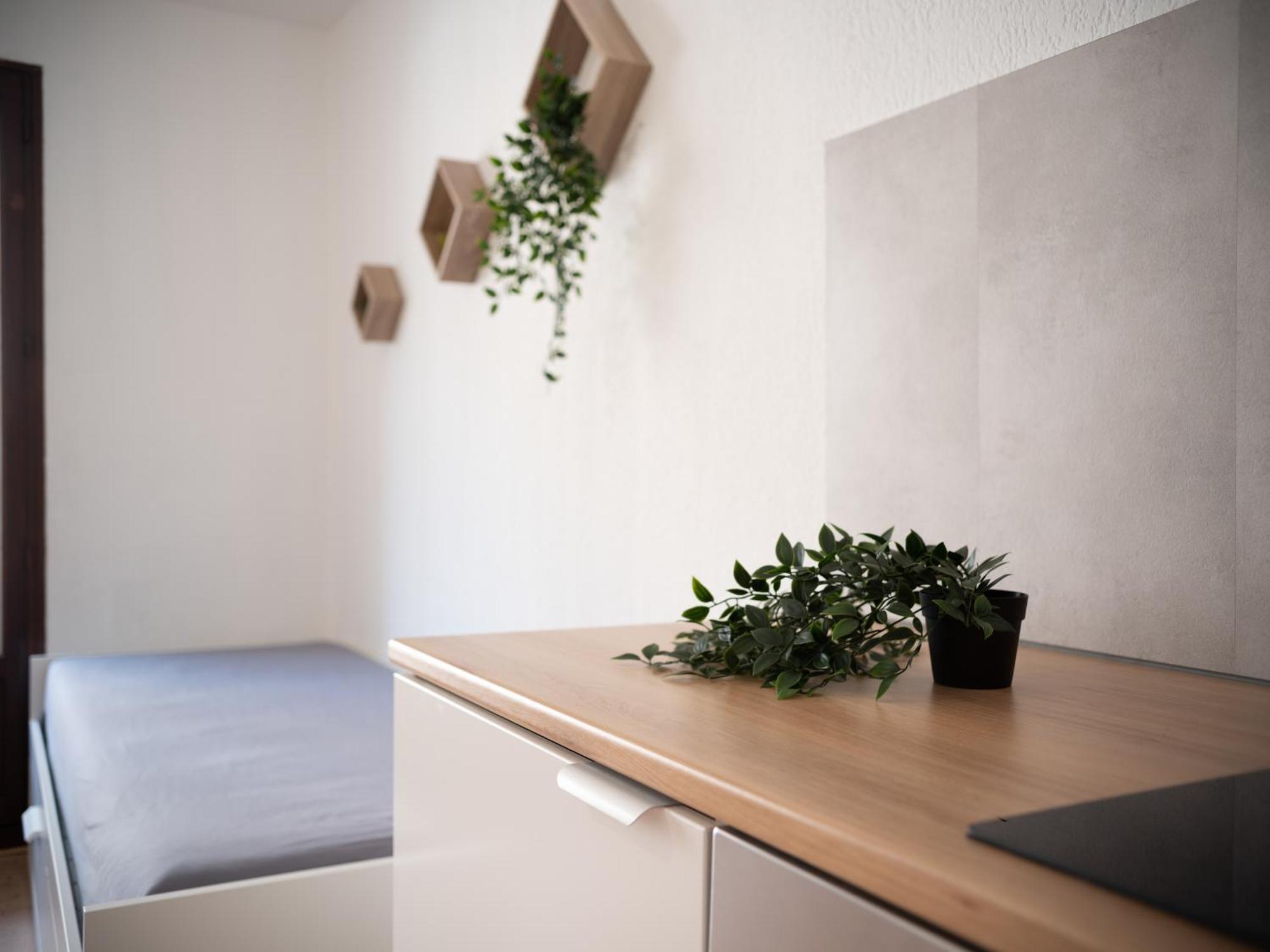 Equipe A 6min De La Gare St Charles Appartement