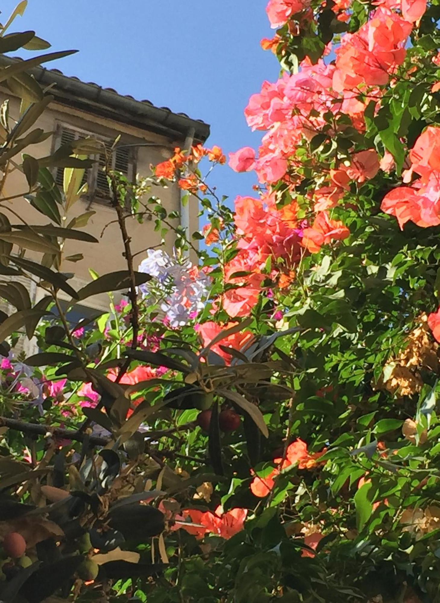 Maison Olea Marseilles