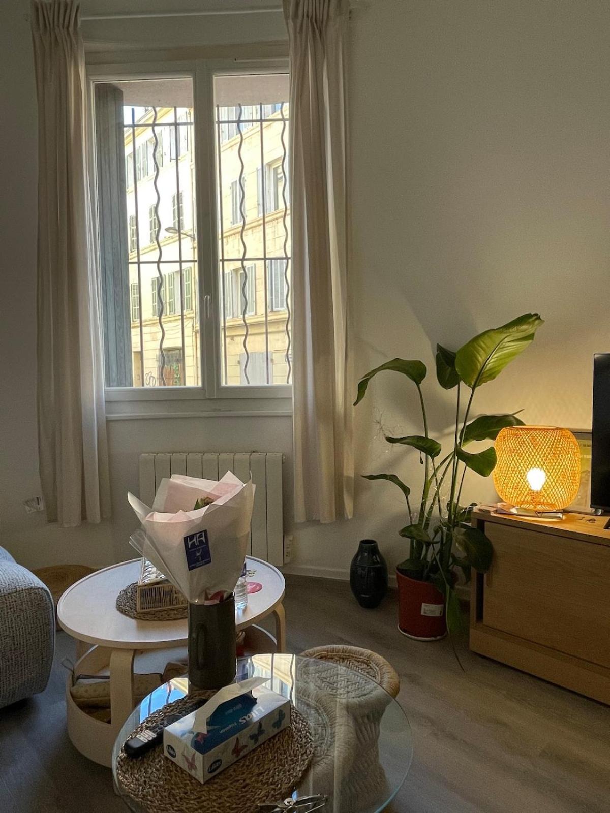 Apartment Au Coeur Du Camas *
