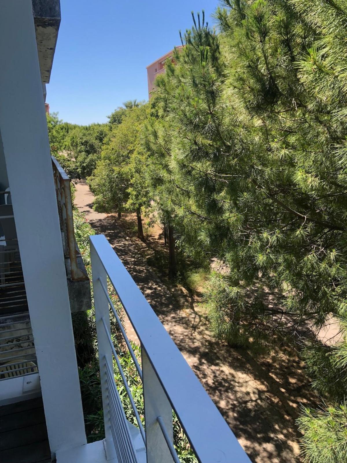 Appartement Beau Prado Parc Piscine Stade *