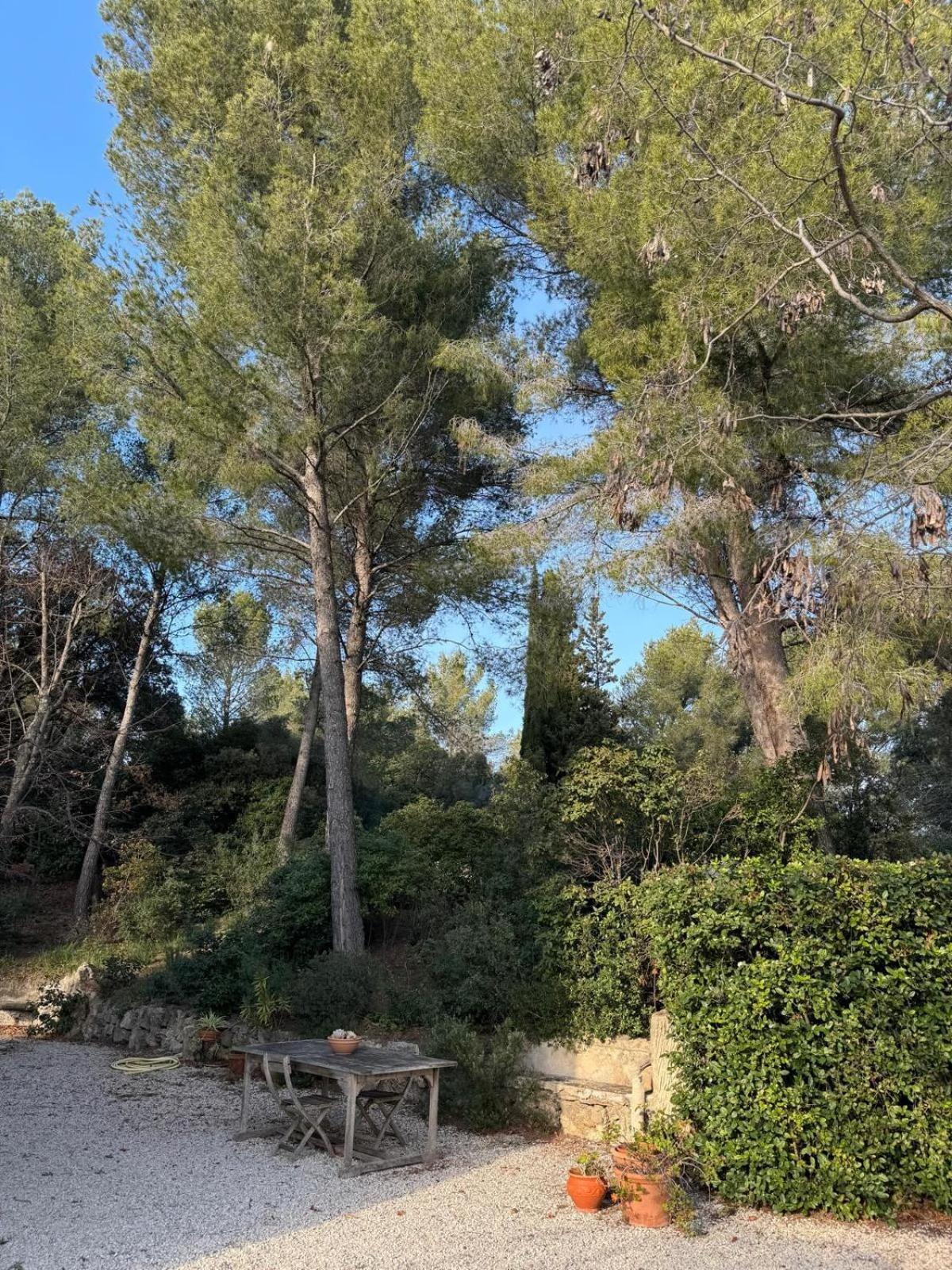 Bastide Provencale Avec Piscine Villa *