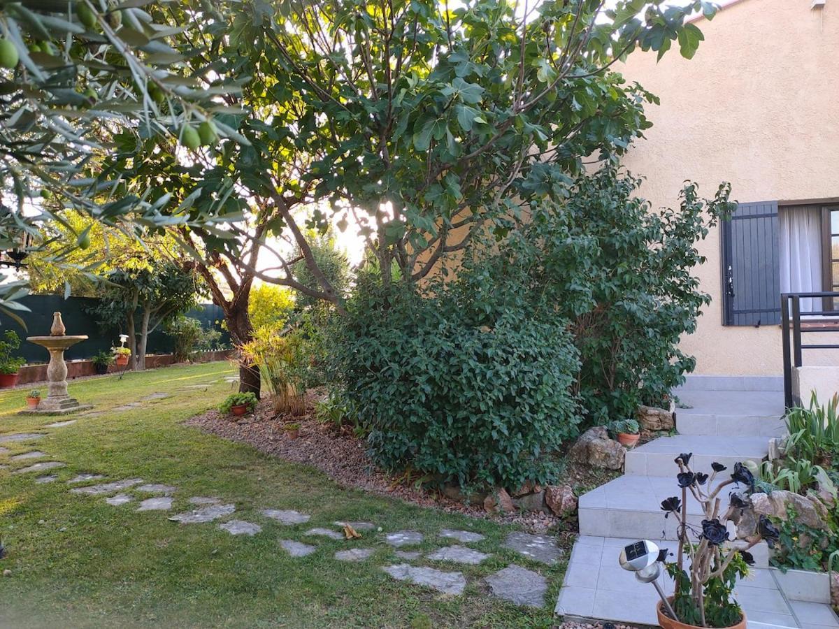 140 M2 Piscine Jardin 5 Personnes Et Un Bebe
