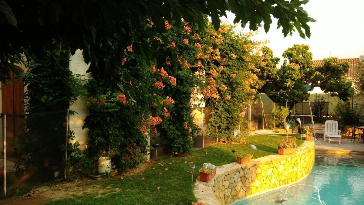 140 M2 Piscine Jardin 5 Personnes Et Un Bebe * Marseille