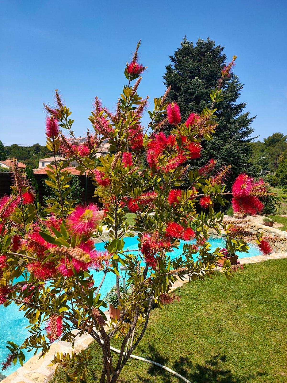 140 M2 Piscine Jardin 5 Personnes Et Un Bebe Villa Marseille