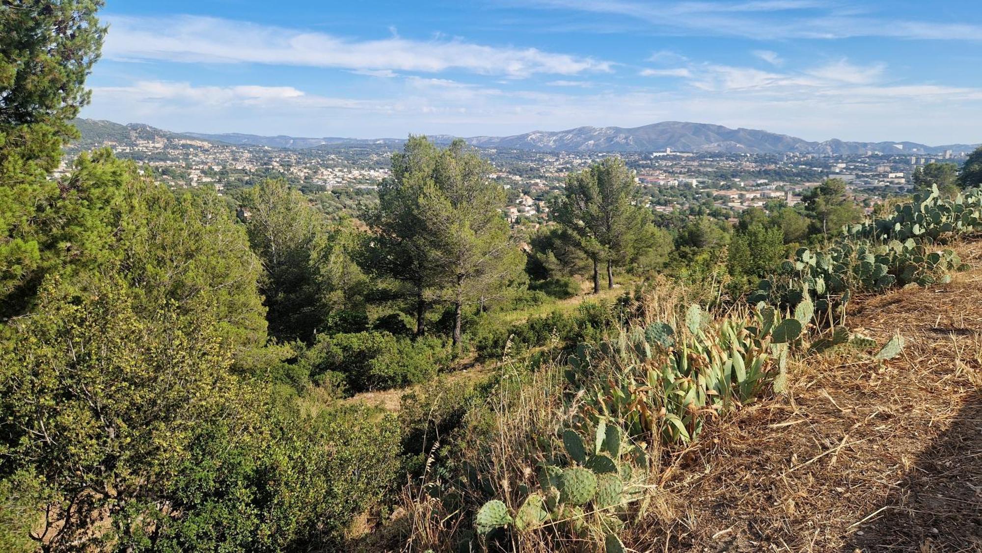 Le Cocon Marseillais Hébergement de vacances