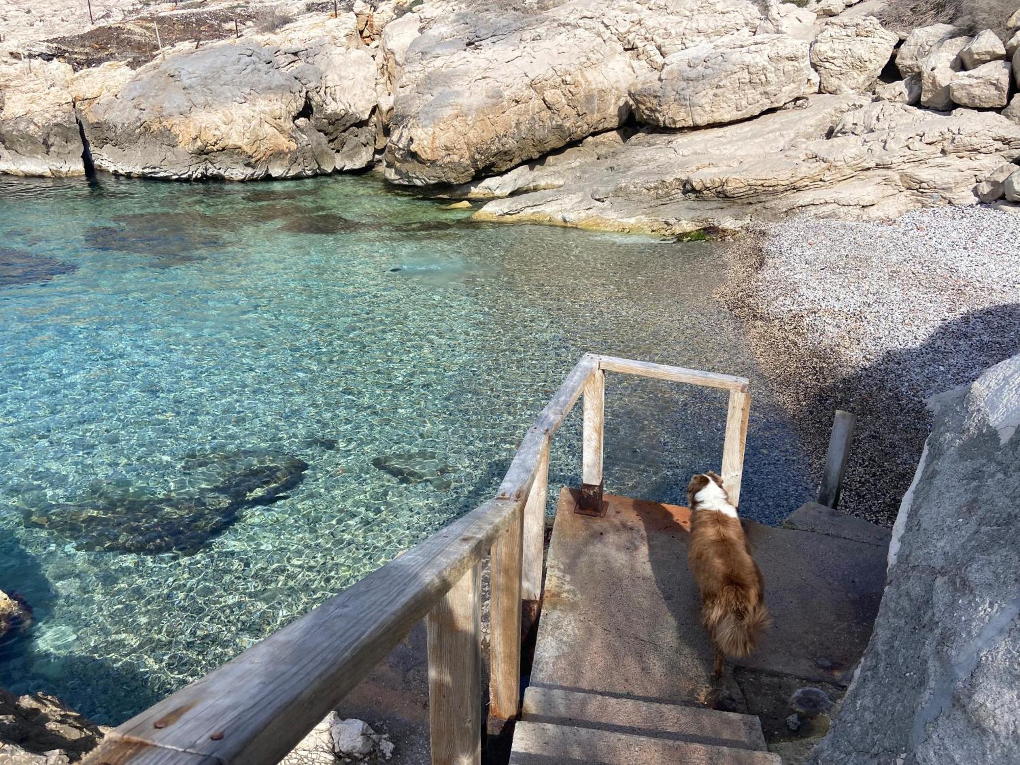 Calanque De Samena Apartment Marseilles